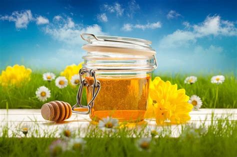 Honey: A Sweet Solution for Health and Happiness